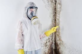 Best Industrial Mold Remediation  in Plentywood, MT